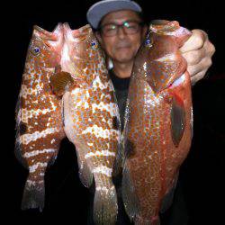 TOPGUN名古屋 釣果