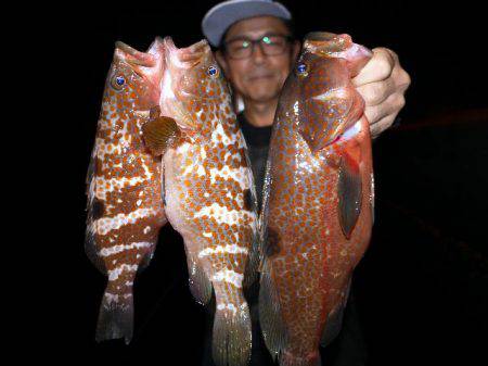 TOPGUN名古屋 釣果