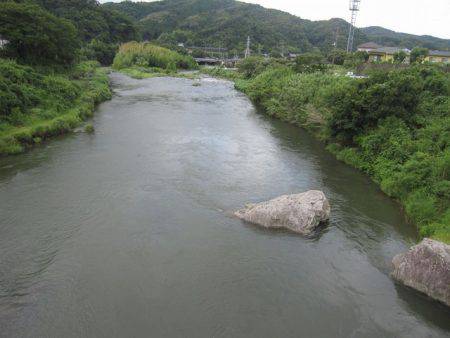 狩野川(狩野川漁業協同組合) 釣果