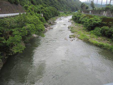 狩野川(狩野川漁業協同組合) 釣果