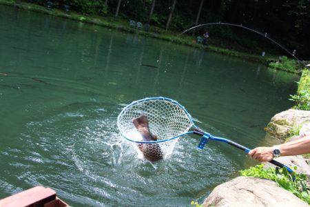 小菅トラウトガーデン 釣果