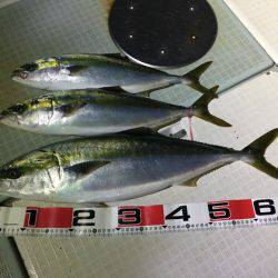 ふじしめ丸 釣果