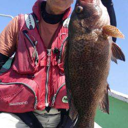 遊漁船 新鋭丸 釣果