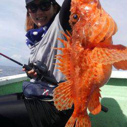 遊漁船 新鋭丸 釣果