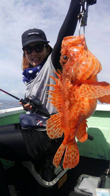 遊漁船 新鋭丸 釣果