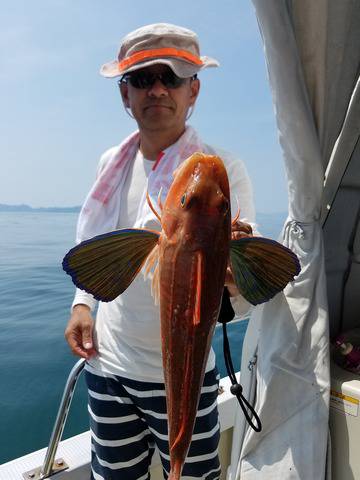 遊漁船　ニライカナイ 釣果