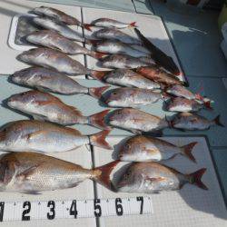 遊漁船 幸友丸 釣果