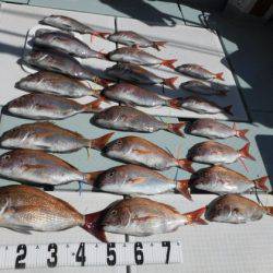 遊漁船 幸友丸 釣果