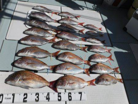 遊漁船 幸友丸 釣果