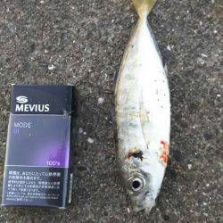 久々に竿を！帰省帰りに