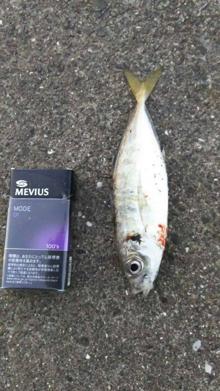 久々に竿を！帰省帰りに