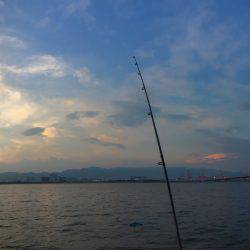 ノータチウオ。