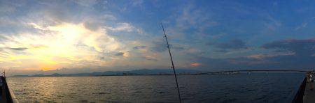 ノータチウオ。