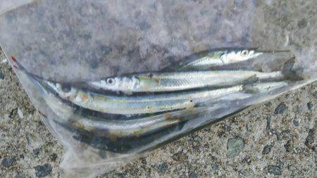 久々に竿を！帰省帰りに