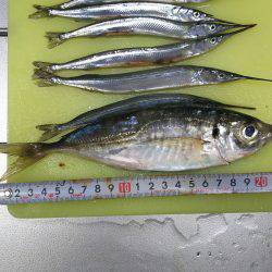 久々に竿を！帰省帰りに