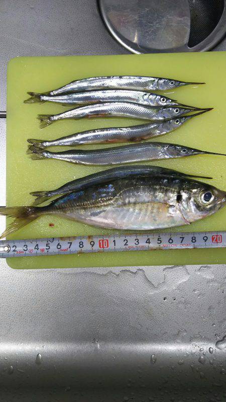 久々に竿を！帰省帰りに