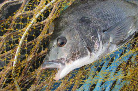 オリジナルメーカー海づり公園(市原市海づり…