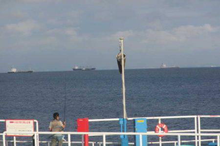 オリジナルメーカー海づり公園(市原市海づり施設) 釣果
