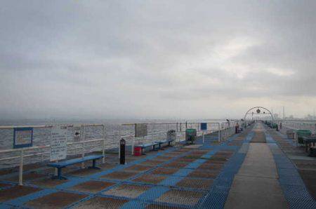 オリジナルメーカー海づり公園(市原市海づり施設) 釣果