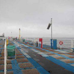 オリジナルメーカー海づり公園(市原市海づり施設) 釣果