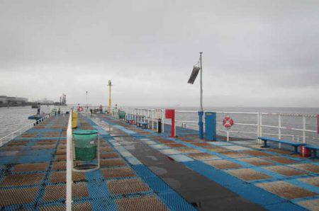 オリジナルメーカー海づり公園(市原市海づり施設) 釣果