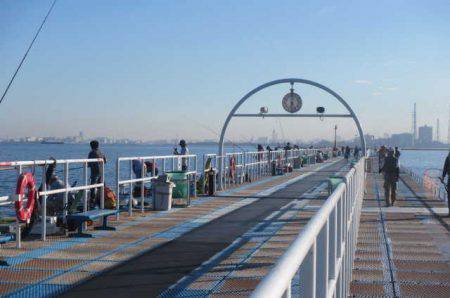 オリジナルメーカー海づり公園(市原市海づり施設) 釣果