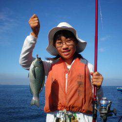 オリジナルメーカー海づり公園(市原市海づり施設) 釣果