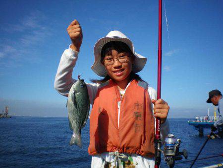 オリジナルメーカー海づり公園(市原市海づり施設) 釣果