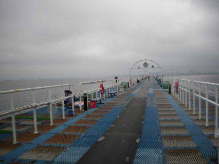 オリジナルメーカー海づり公園(市原市海づり施設) 釣果