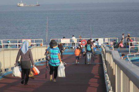 オリジナルメーカー海づり公園(市原市海づり施設) 釣果