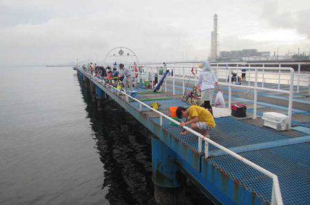 オリジナルメーカー海づり公園(市原市海づり施設) 釣果