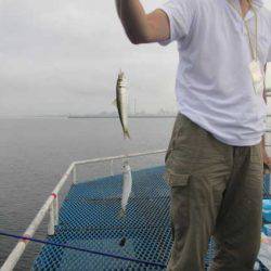 オリジナルメーカー海づり公園(市原市海づり施設) 釣果