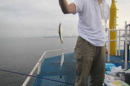 オリジナルメーカー海づり公園(市原市海づり…
