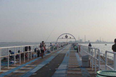 オリジナルメーカー海づり公園(市原市海づり施設) 釣果