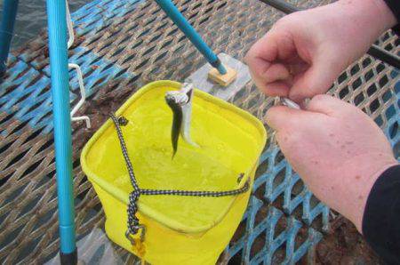 オリジナルメーカー海づり公園(市原市海づり…