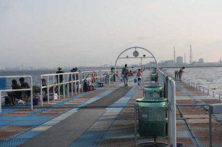 オリジナルメーカー海づり公園(市原市海づり施設) 釣果