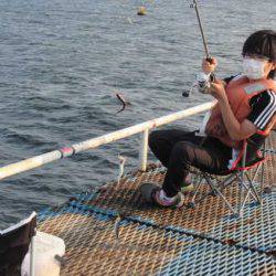 オリジナルメーカー海づり公園(市原市海づり施設) 釣果