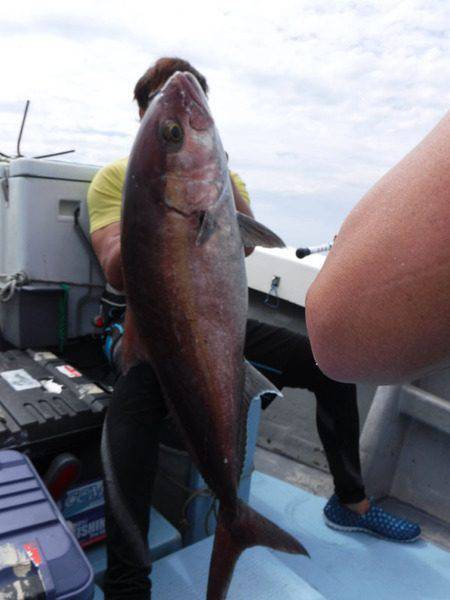オーシャンパイオニア 釣果