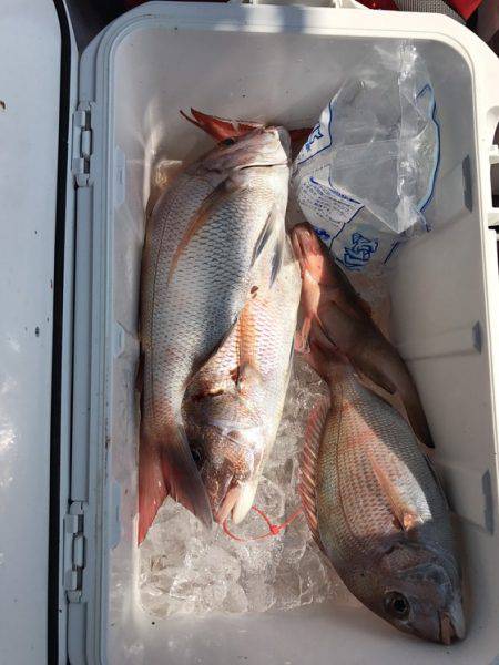 遊漁船高橋 釣果