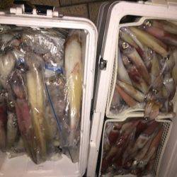 幸風（さちかぜ） 釣果