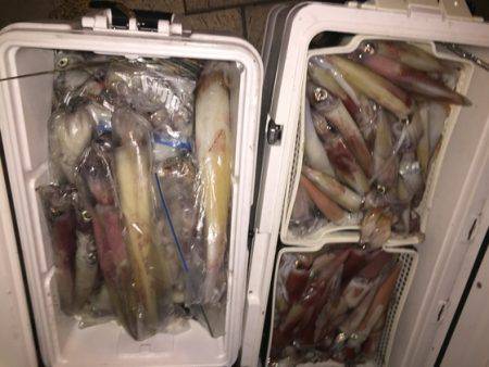 幸風（さちかぜ） 釣果