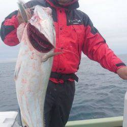 気仙沼 つり丸 釣果