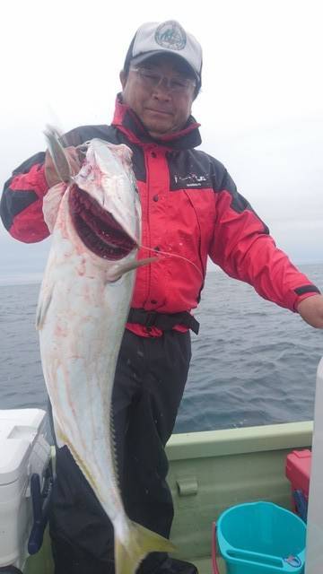 気仙沼 つり丸 釣果