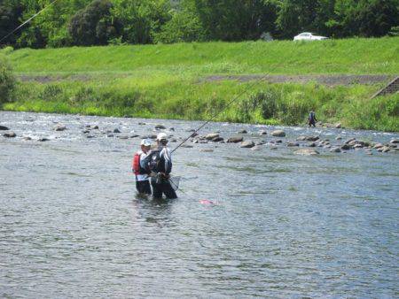 狩野川(狩野川漁業協同組合) 釣果