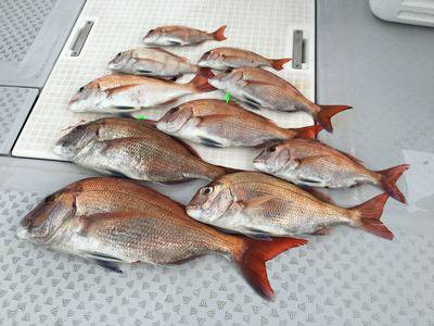 ミタチ丸 釣果