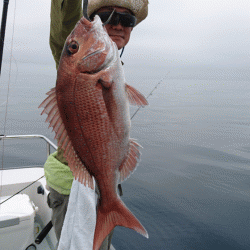 遊漁船ブルーウッズ 釣果