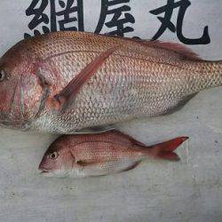 網屋丸 釣果