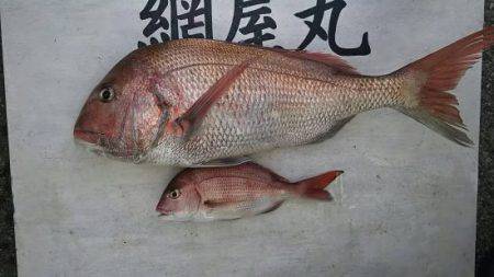 網屋丸 釣果