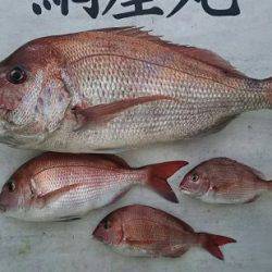 網屋丸 釣果
