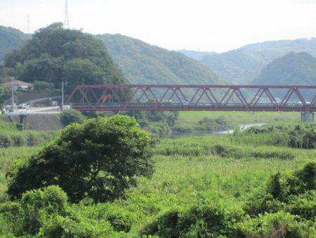 狩野川(狩野川漁業協同組合) 釣果